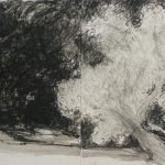 Saules – Encre, graphite et fusain 40×80 cm 2013
